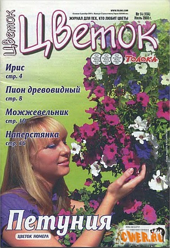 Цветок №14 2008