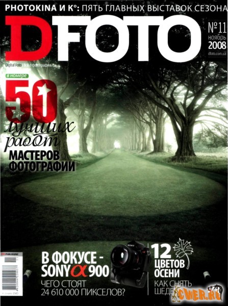DFOTO №11 (ноябрь) 2008