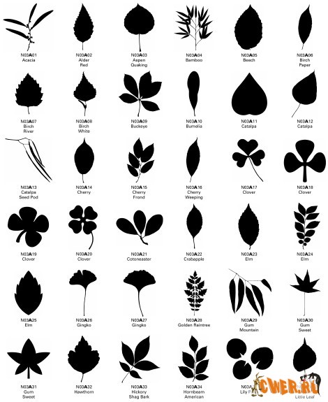 Nature Icons by Ultimate Symbol