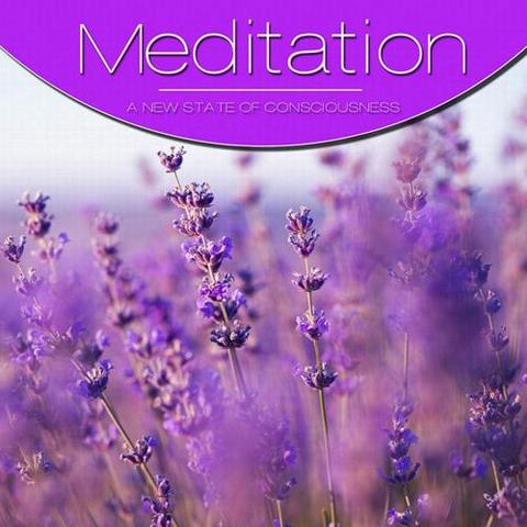 Meditation Vol. Purple (2012)