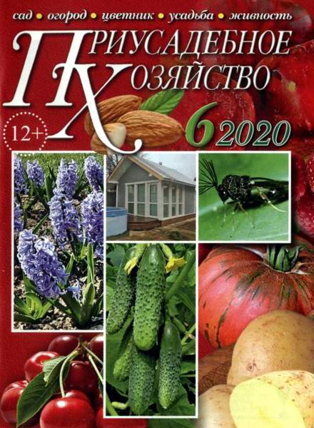 Приусадебное хозяйство №6 июнь 2020 + приложения Цветы в саду и дома Дачная кухня