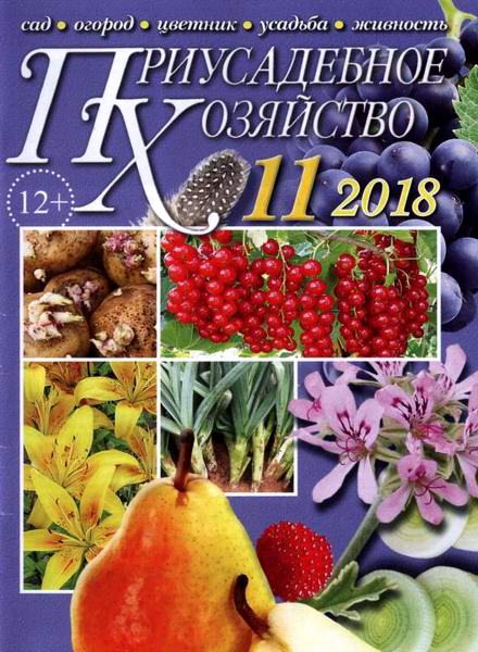 Приусадебное хозяйство №11 ноябрь 2018 + приложения Цветы в саду и дома Дачная кухня