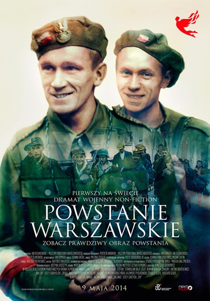 Варшавское восстание / Powstanie Warszawskie (2014/DVDRip