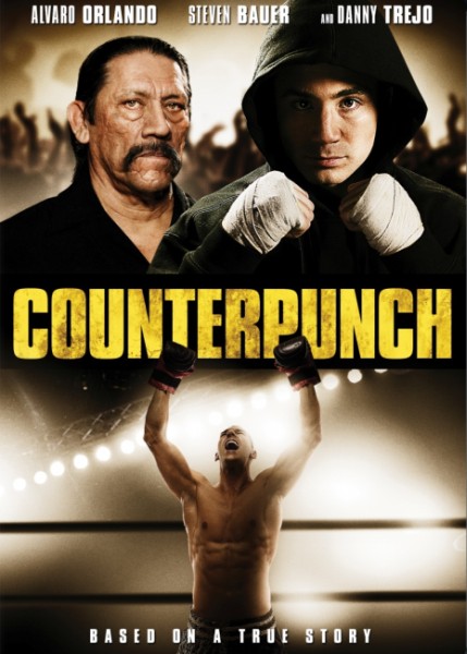 Контрудар / Counterpunch (2013/WEBDLRip