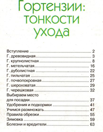 Школа цветовода №5 (май 2012). Гортензии: тонкости ухода