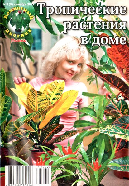 Комнатный цветник №2 (сентябрь 2012). Тропические растения в доме
