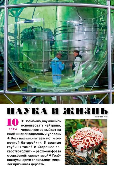 Наука и жизнь №10 октябрь 2024