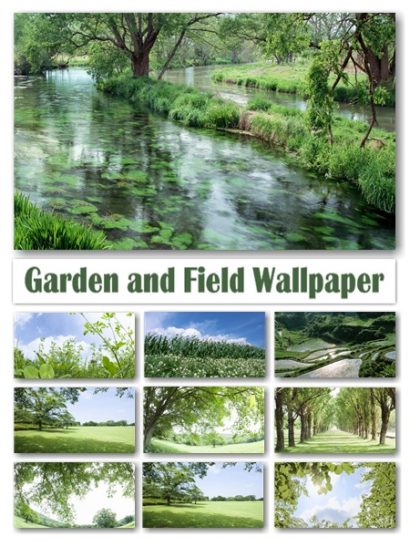 Garden and Field Wallpapers