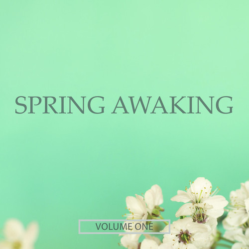 Spring Awaking Vol.1: Finest Selection Of Chill Out and Ambient Music