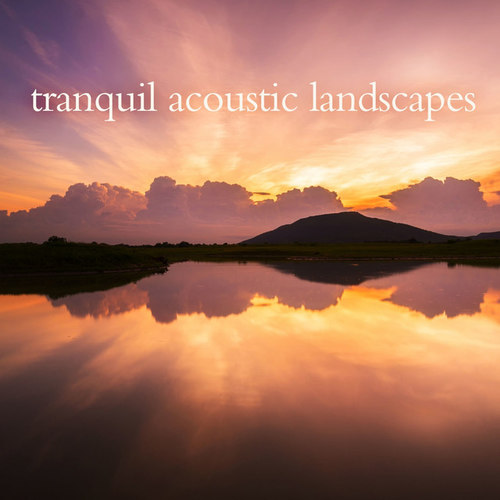 Tranquil Acoustic Landscapes