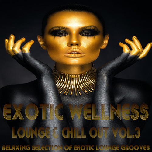 Exotic Wellness Lounge and Chill Out Vol.3: Relaxing Selection of Erotic Lounge Grooves