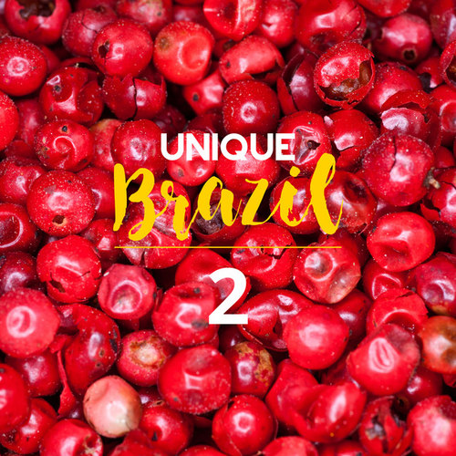 Unique Brazil Vol.2 Brazilian Moods and Bossa Nova Sounds