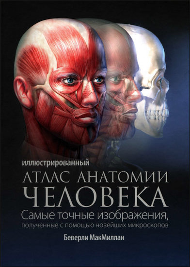 Иллюстрированный атлас анатомии человека