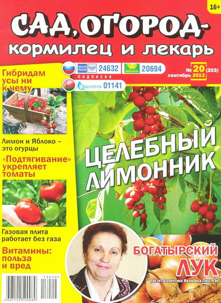 Сад, огород - кормилец и лекарь №20 (сентябрь 2013)