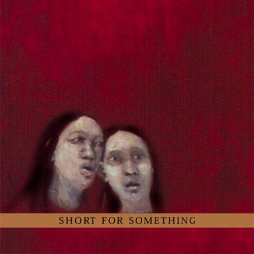 New Klezmer Trio - Short For Something (2000)