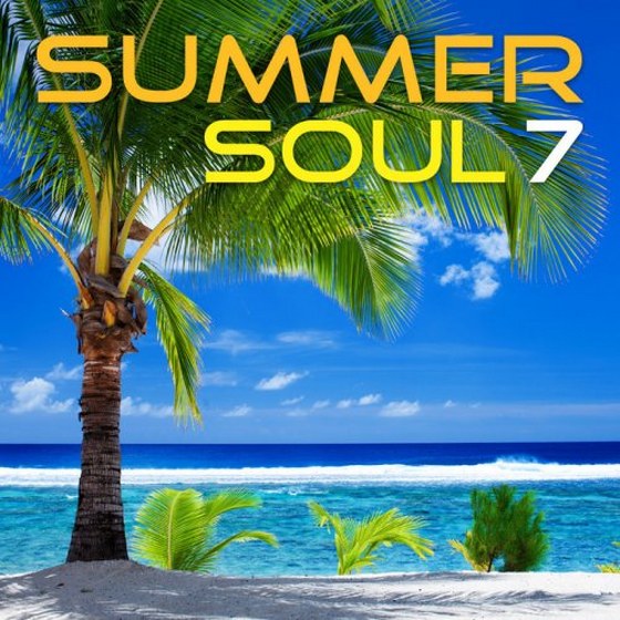 скачать Summer Soul 7 (2012)