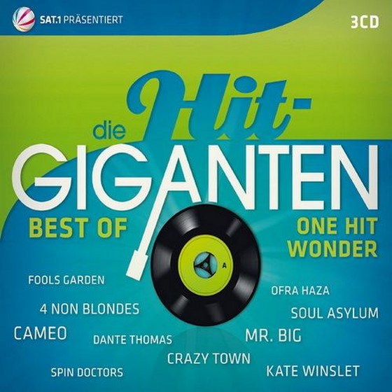 скачать Die Hit Giganten: Best of One Hit Wonder (2013)