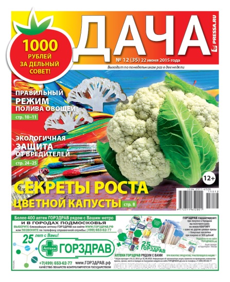 Дача 12 2015