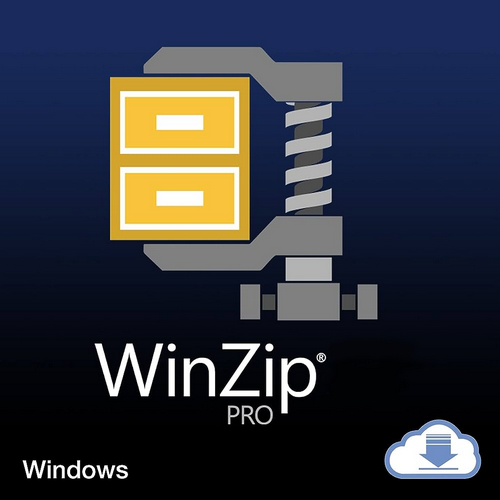 WinZip Pro 28