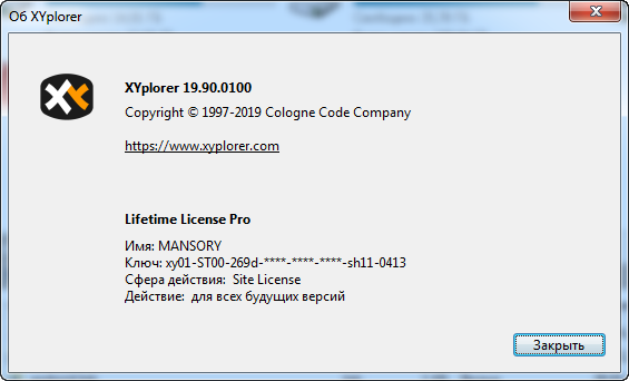 XYplorer Pro 19.90.0100 + Portable