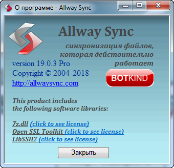 Allway Sync Pro 19.0.3