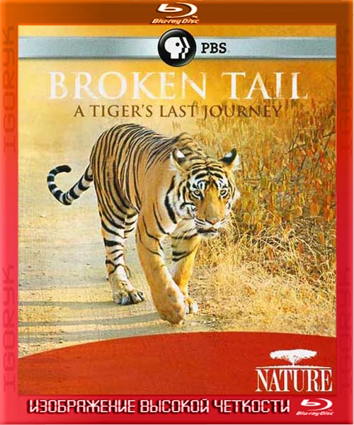 Сломанный хвост: Последнее путешествие тигра (2011) HDRip