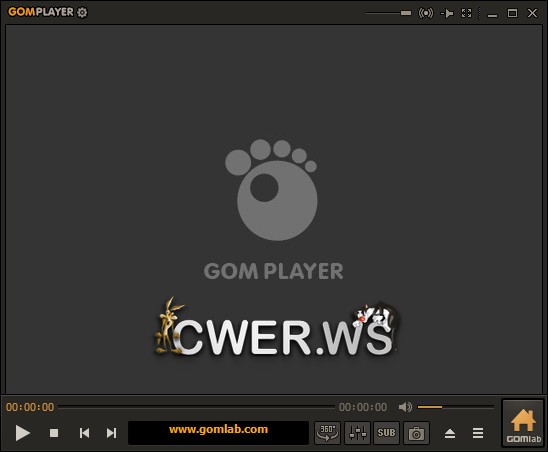 GOM Player 2
