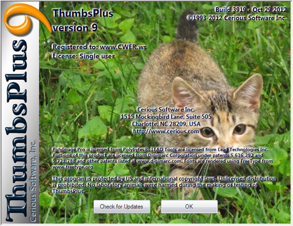 ThumbsPlus 9 Build 3919